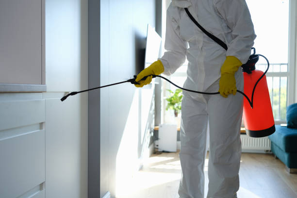 Best DIY Mold Remediation Support Services in Bolivar, MO